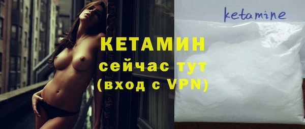 крисы Алексин
