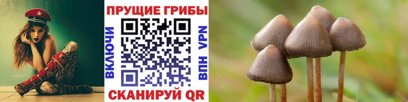 цена наркотик Протвино Галлюциногенные грибы MAGIC MUSHROOMS